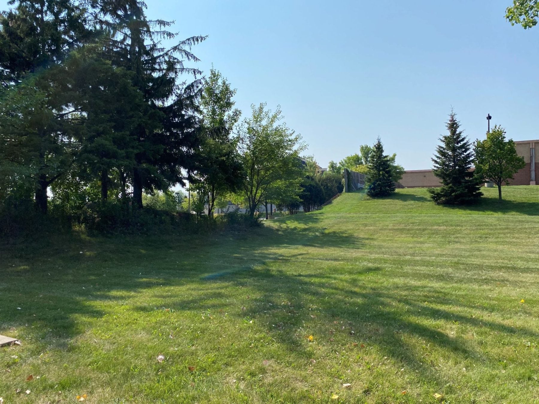Backyard space with trees and grass